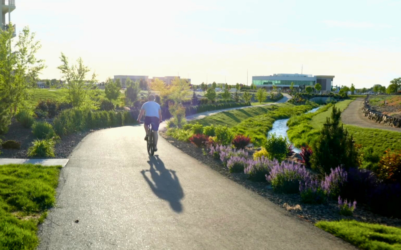 Video: Before You Go