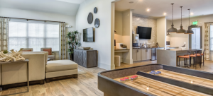 Overlook in Suwanee GA by Brighton Ventures